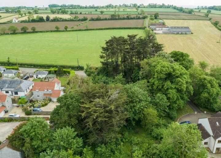 Aerial view of a rural landscape with homes, fields, and trees.