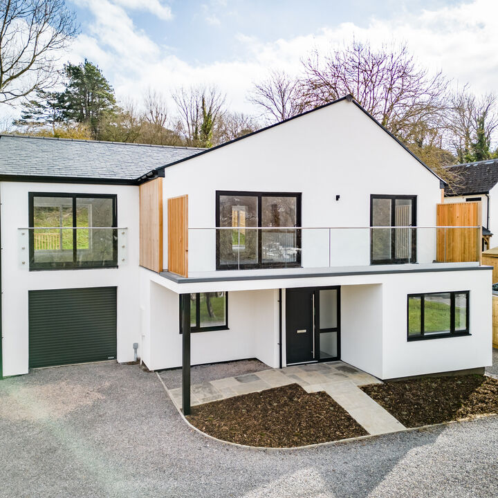 Drone Cuddle Day-2.JPEG