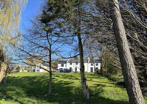 A house surrounded by trees on a sunny day with a blue sky.